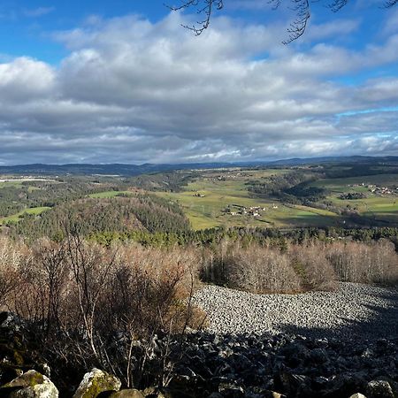 Les Roulottes De La Ferme Des Chanaux Saint-Julien-d'Ance Eksteriør billede