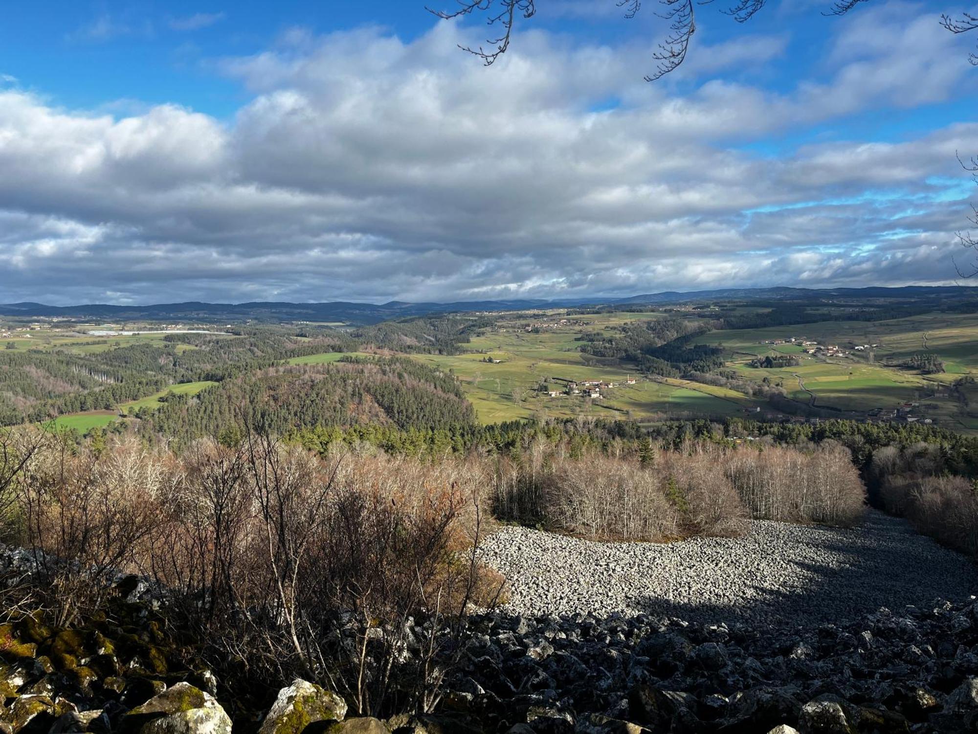 Les Roulottes De La Ferme Des Chanaux Saint-Julien-d'Ance Eksteriør billede
